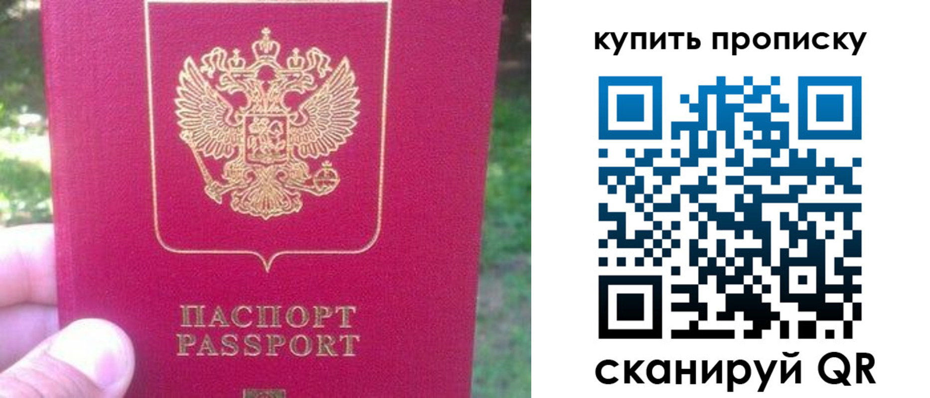 временная регистрация для школы в Шебекино