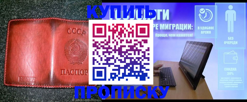 найти адрес прописки в Шебекино